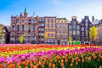 Tulip Time Cruise (Netherlands & Belgium)