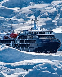 Finding The Best Cruises to Antarctica